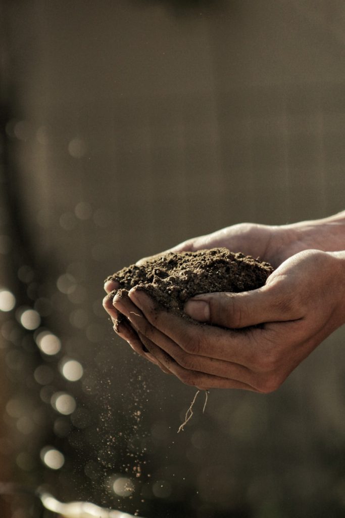 composter ses déchets