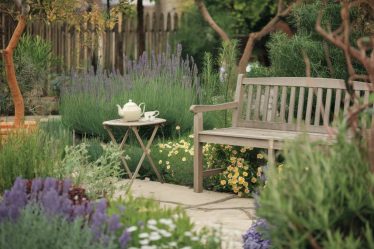 "Créer un coin détente au jardin avec des plantes apaisantes et une décoration nature"