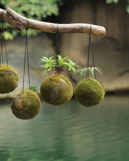 L'art du kokedama : créer des sphères végétales pour une décoration naturelle et apaisante.